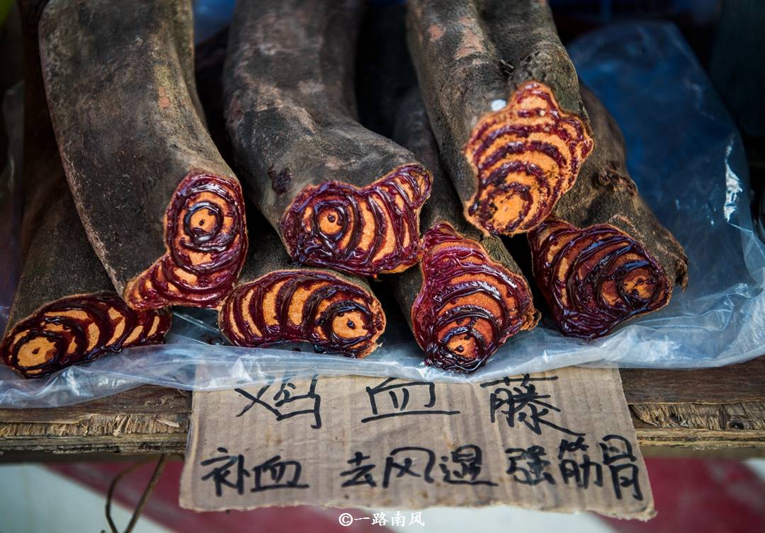 黄埔|广州相对落后的两个区，以前划到粤北，很多老广认为它们不像广州