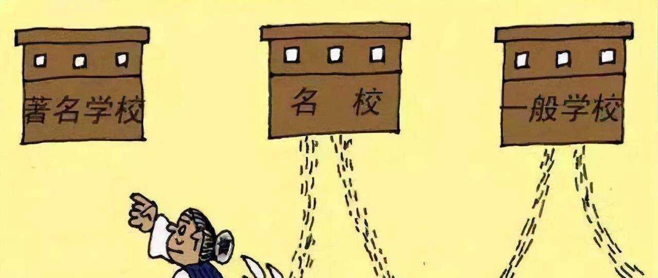 什么是双非和单非 2e94e6d3e9754c679a706fafb3dd5ef3.jpeg