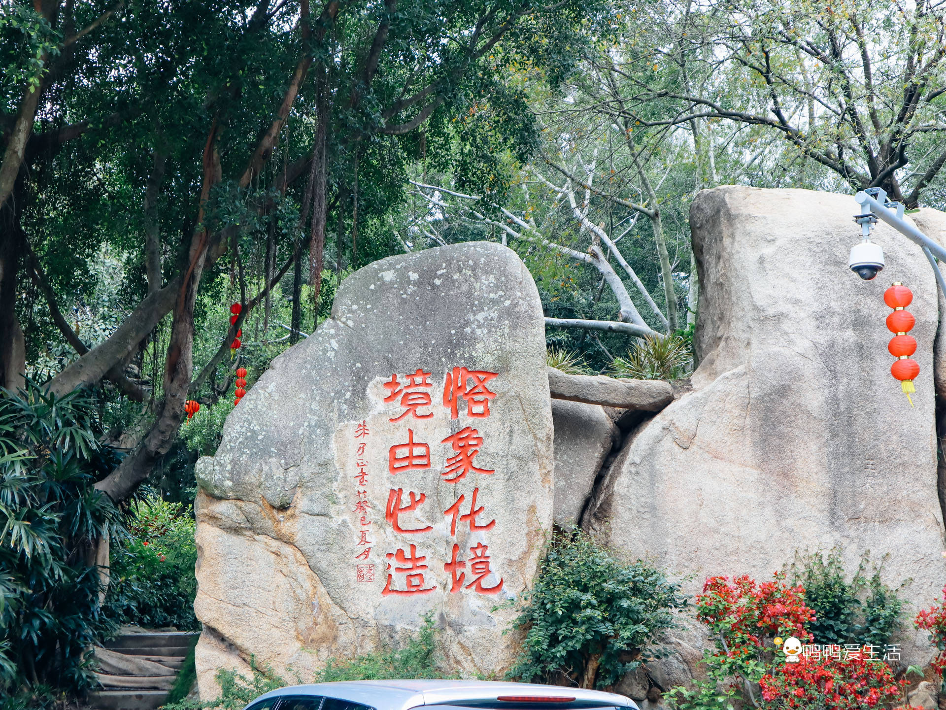 景点|厦门园林植物园春节期间免费开放，花多人多喜气洋洋，新春好去处