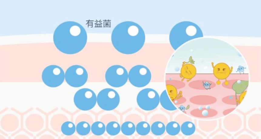 产品油脂过度分泌怎么办？这份真正有效的“控油”护肤方案，建议收藏