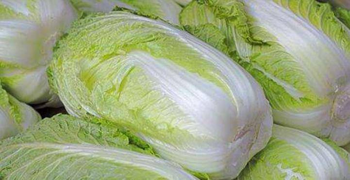怎么挑选好吃的白菜 2ba8ff25020f4bc392ea69c5b56d3c34.jpeg