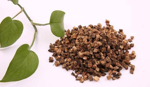 3decaf72ec404a468d40c2a133b56585.jpeg