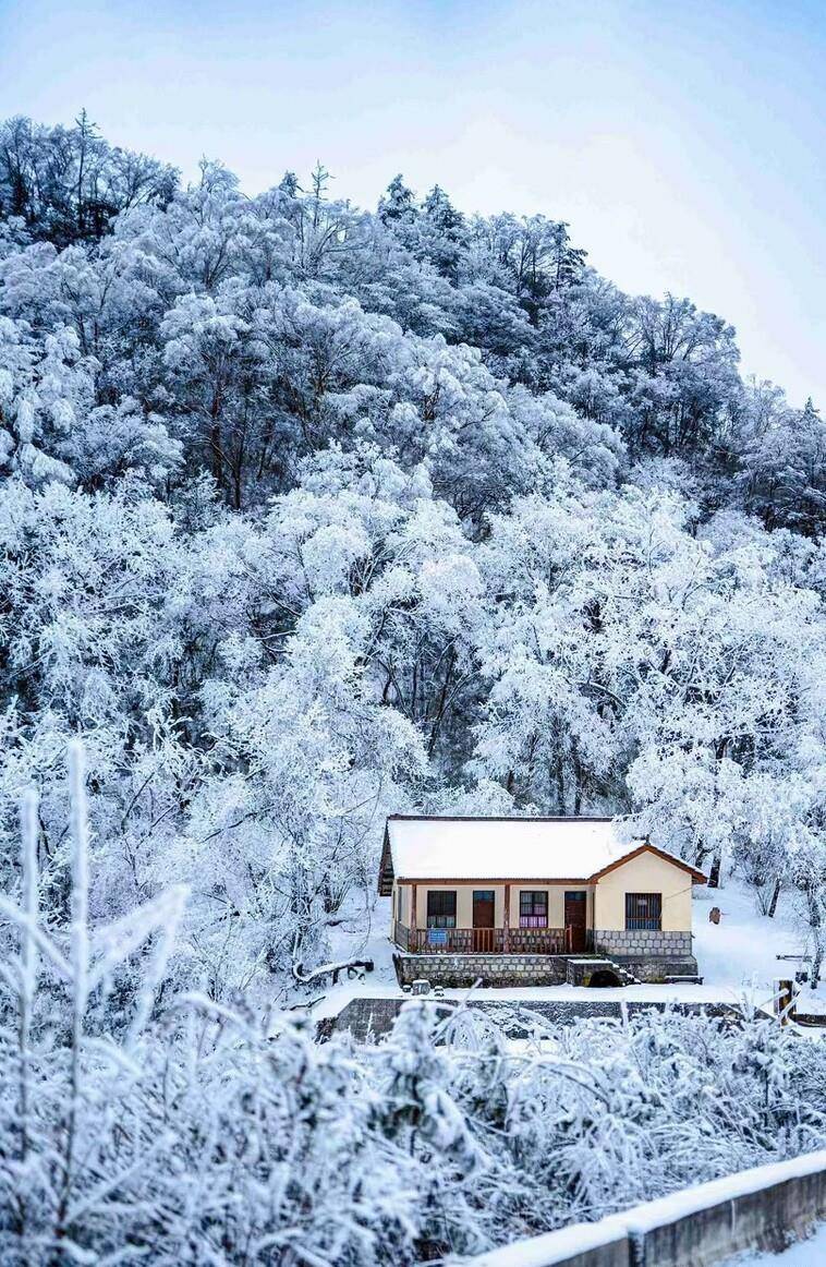 玩雪攻略西安出發3小時即到漢中仙境龍頭山賞雪玩雪好去處