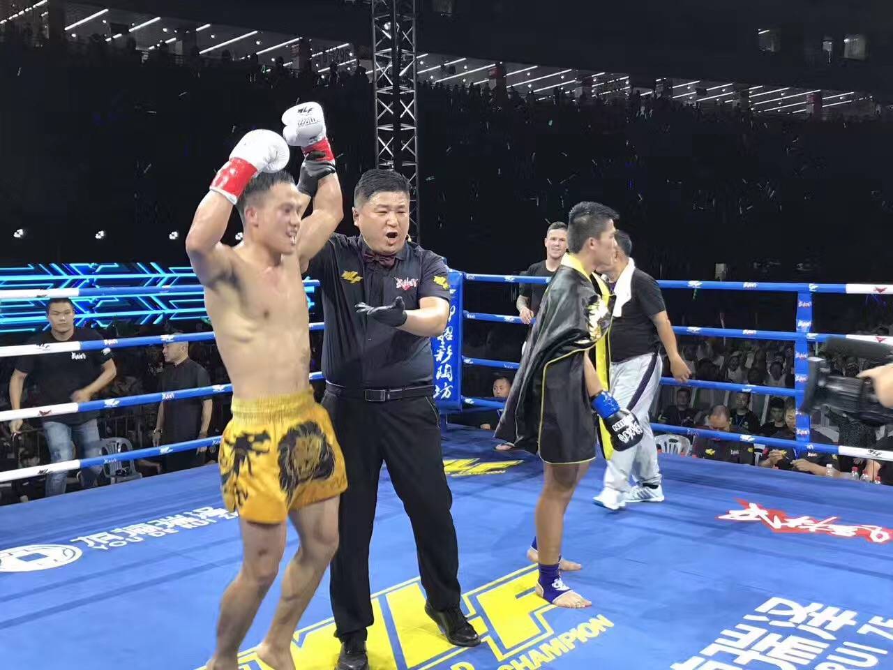 谢雷从未被ko过,遇到的对手不乏佩帕侬,伊利亚斯·布莱德,江通猜,古拉