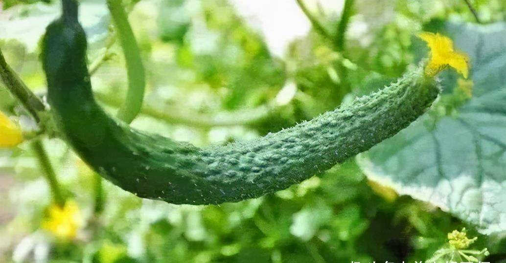3486517507ce403f900e545481d90691.jpeg