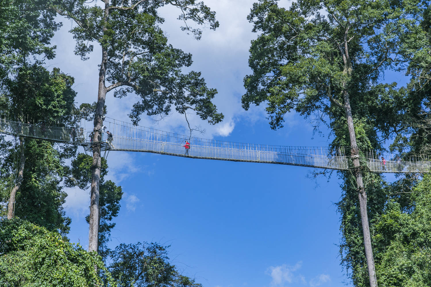 拉萨|余生不将就！中国值得去的10个旅行地，每一处都是触及灵魂之美