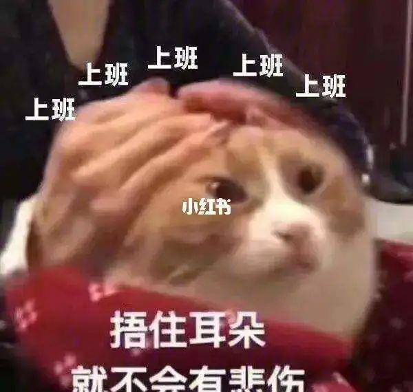 e19792ce8e4b43579f4a79f77a12609a.jpeg