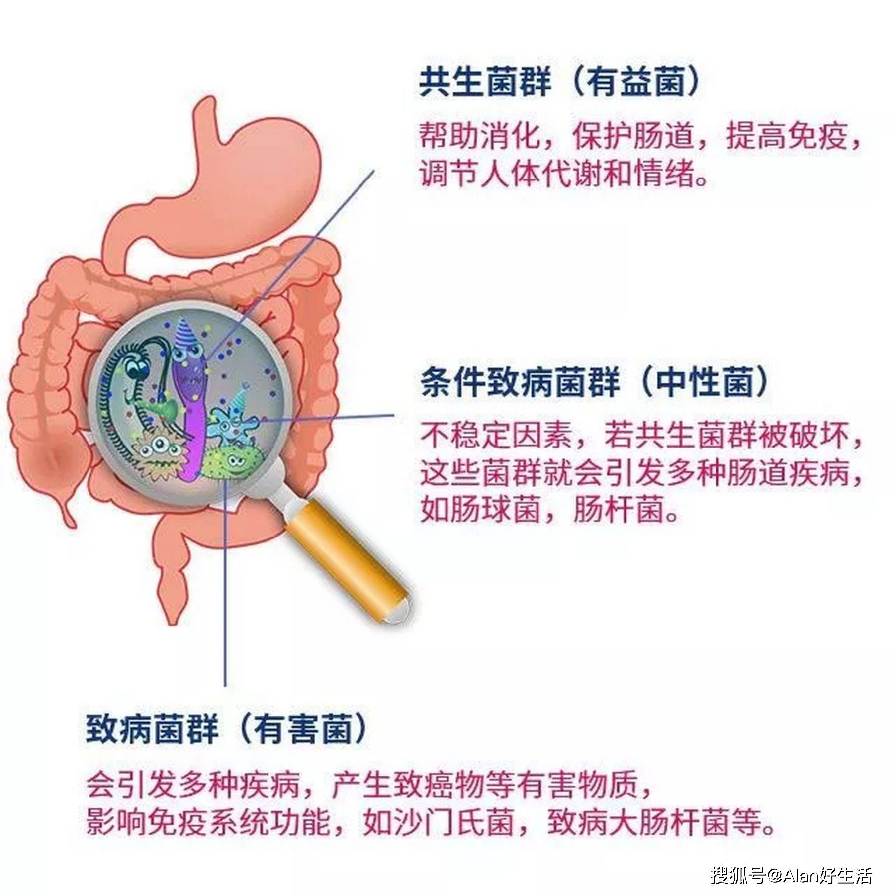 小儿消化不良的定义_小儿消化不良分几种_小儿功能性消化不良最常见的症状是