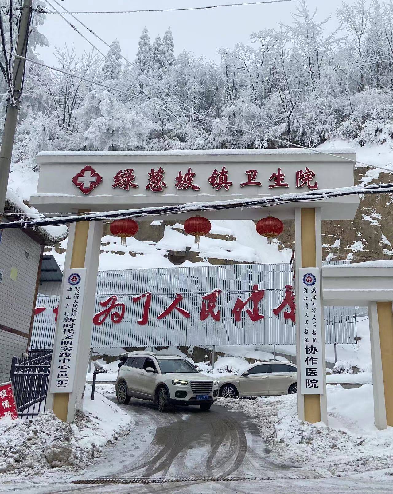 湖北省人民医院健康帮扶巴东有"奇招"_绿葱坡镇_彭昊_服务