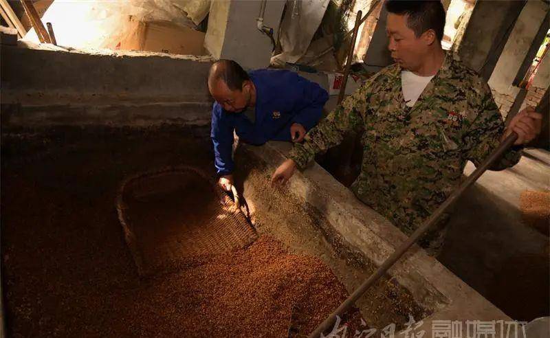 内江|内江“神奇”!民间土酿高粱酒,每年外卖三万斤——