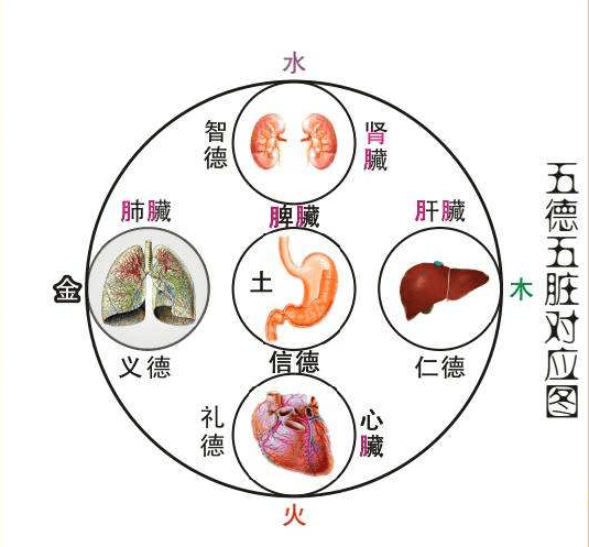 扬雄的《太玄数》中将五方