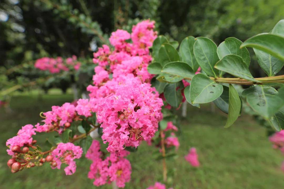 四季|光阴里的西安铁道技师学院二十四节气