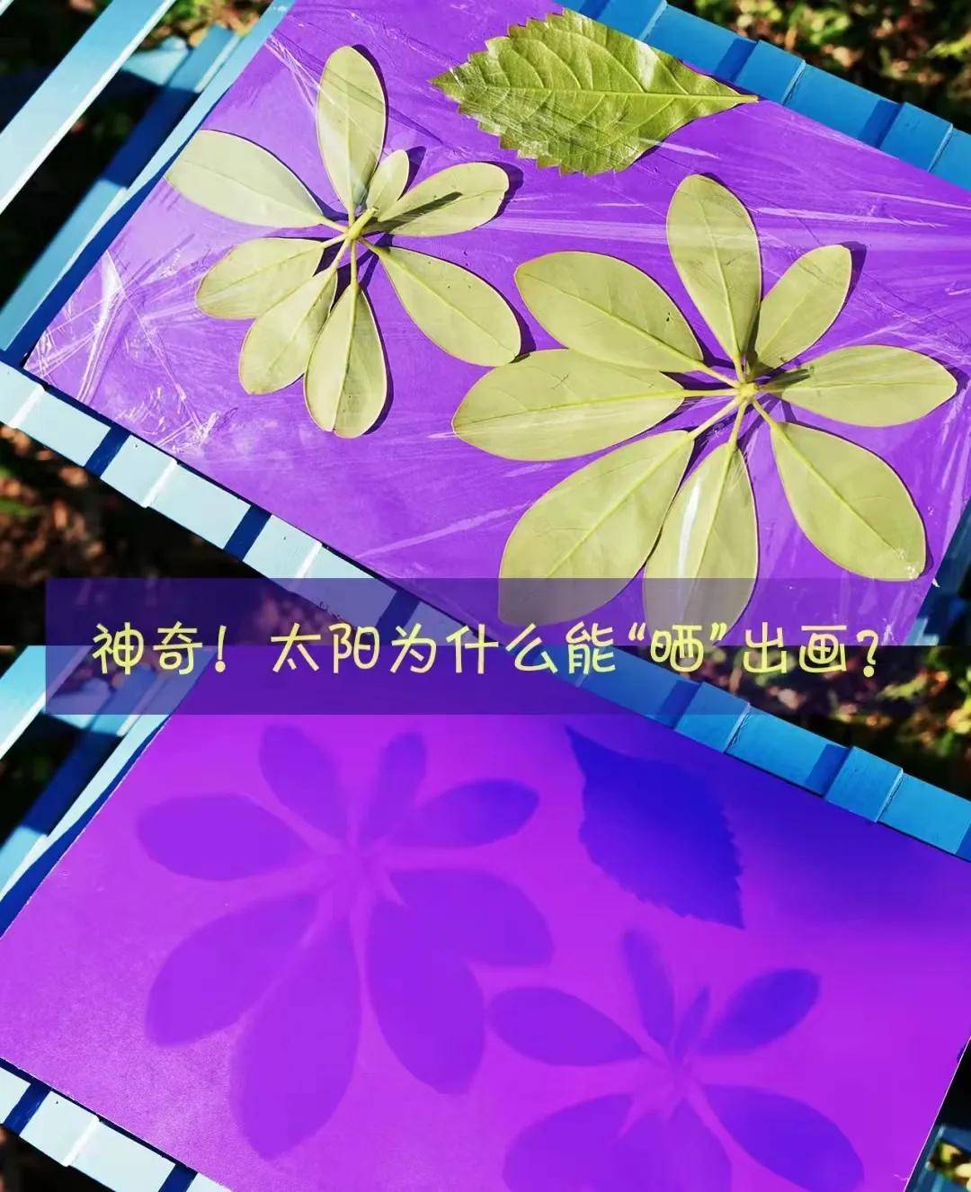 57a6e597389f4585bef87ca80ba05e6f.jpeg