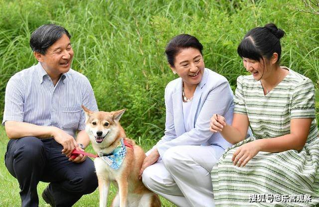 伴随着爱子一起长大的爱犬由莉 是日本德仁天皇家的第四个成员 朋友 因为 年方