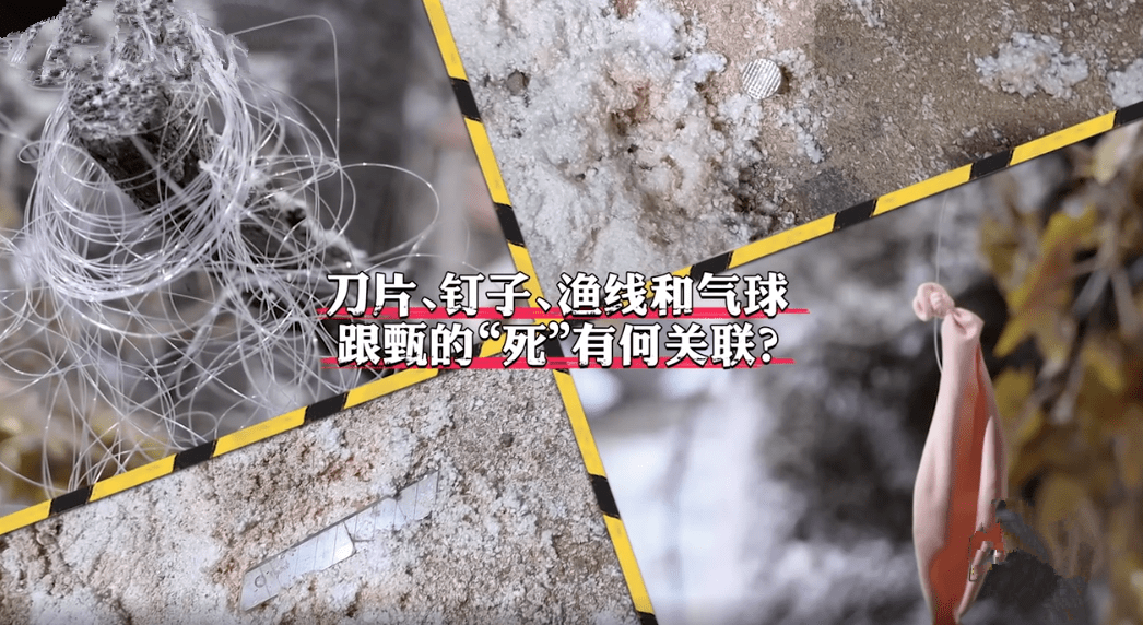 甄白雪|连续6年口碑破8分的《大侦探》，迎来七年之痒了吗？