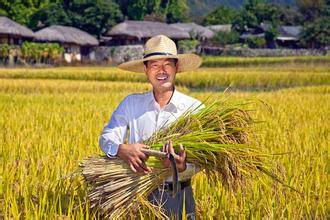 如何让土地永久不长东西 062e3c2b8bff48e0bd954f6deeb89096.jpeg