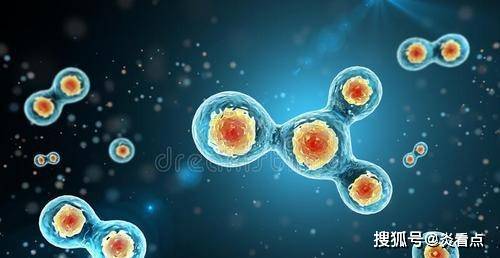 科学家算出人类的寿命 728ac057360941a9b99ca888d06771b5.jpeg