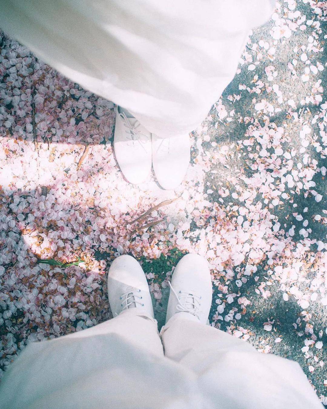 拍照如何拍出很高的感觉 bdc7f0e84a8948dc9aa110ef21e14597.jpeg