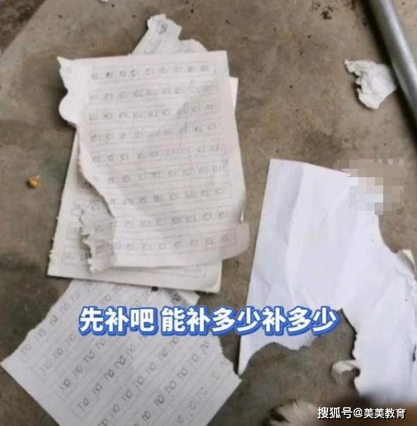 原创安徽一小学生的作业被狗撕碎女生大哭我只差一行字就写完了