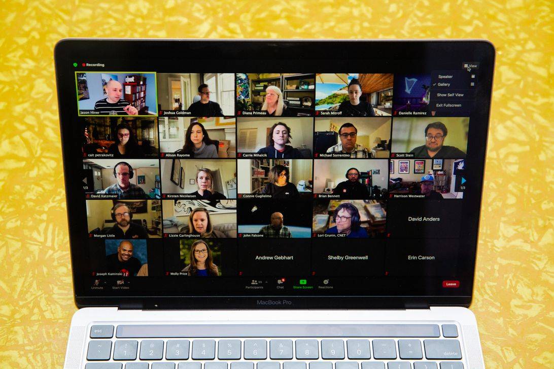 不想在zoom会议期间看自己这是做什么