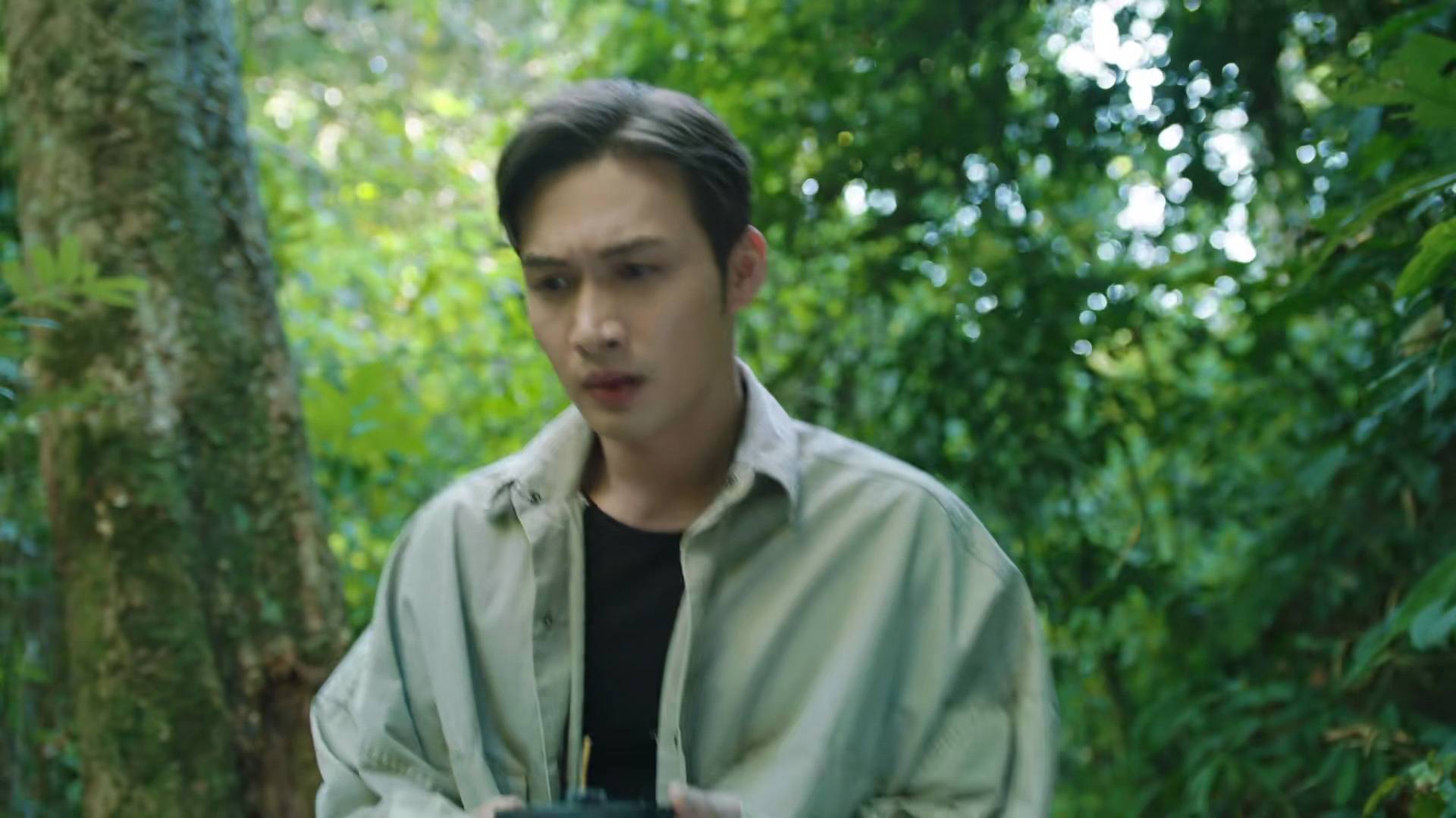 原创不合理擎天树比司藤厉害变成苅族后为什么打不过白英