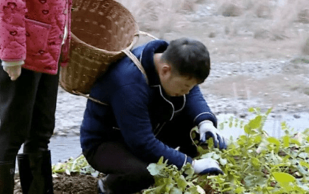 杜海涛|沈梦辰爸爸单独约见杜海涛，两男人为何痛哭？海涛委屈的像个孩子