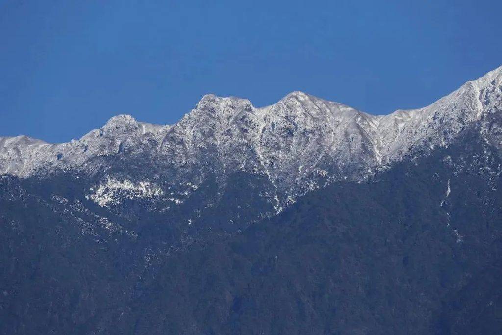 花朵|初春腾冲：油菜花开金灿灿，紫云沫雪白皑皑