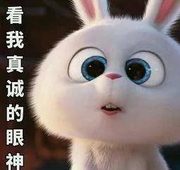 周董|吃完被明星带火的零食,我的美食之路走到了瓶颈期