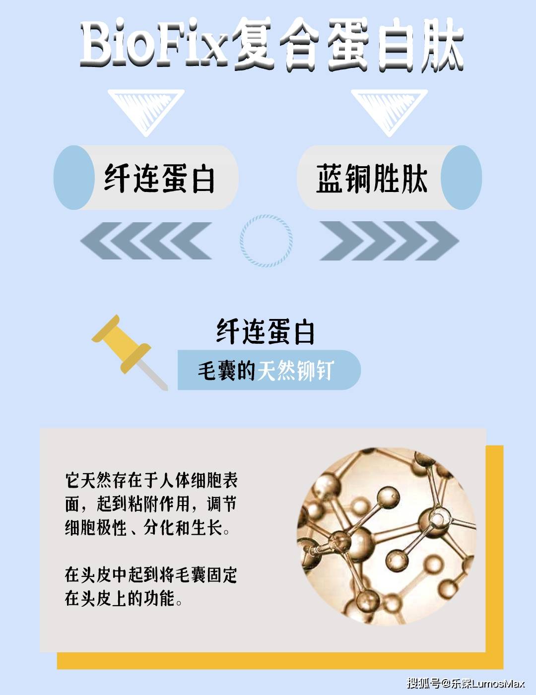 生姜可以防秃?你想尽办法无效生发的样子才令人头秃!_头皮_头发_细胞