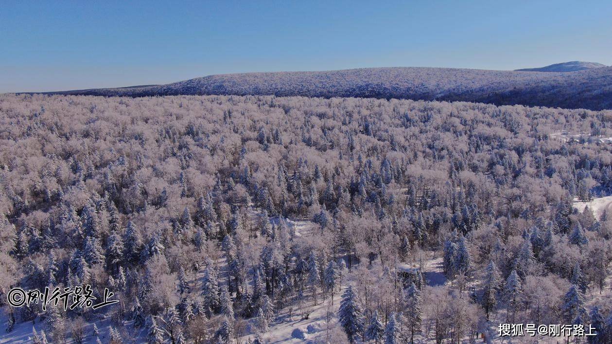 雪乡|中国东北冬天最美公路，亚雪公路雾凇长廊打卡