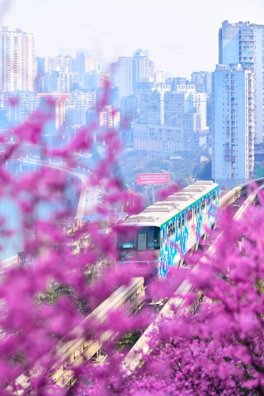 又到春暖花开时！“开往春天的列车”升级归来~