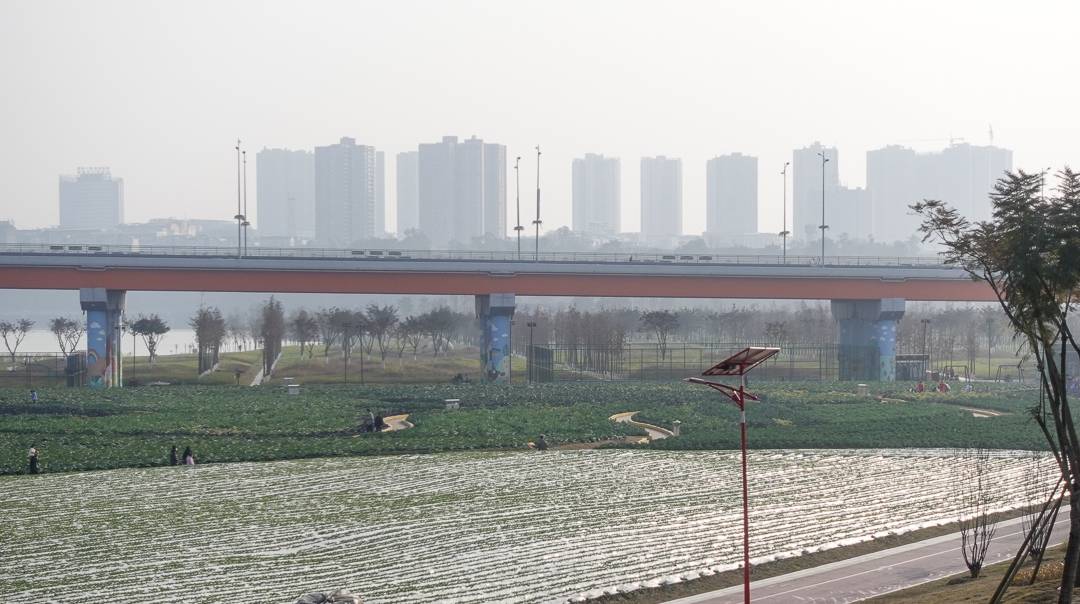 原创重庆有个很接地气的公园，设计理念西部首创，或成又一个网红景点