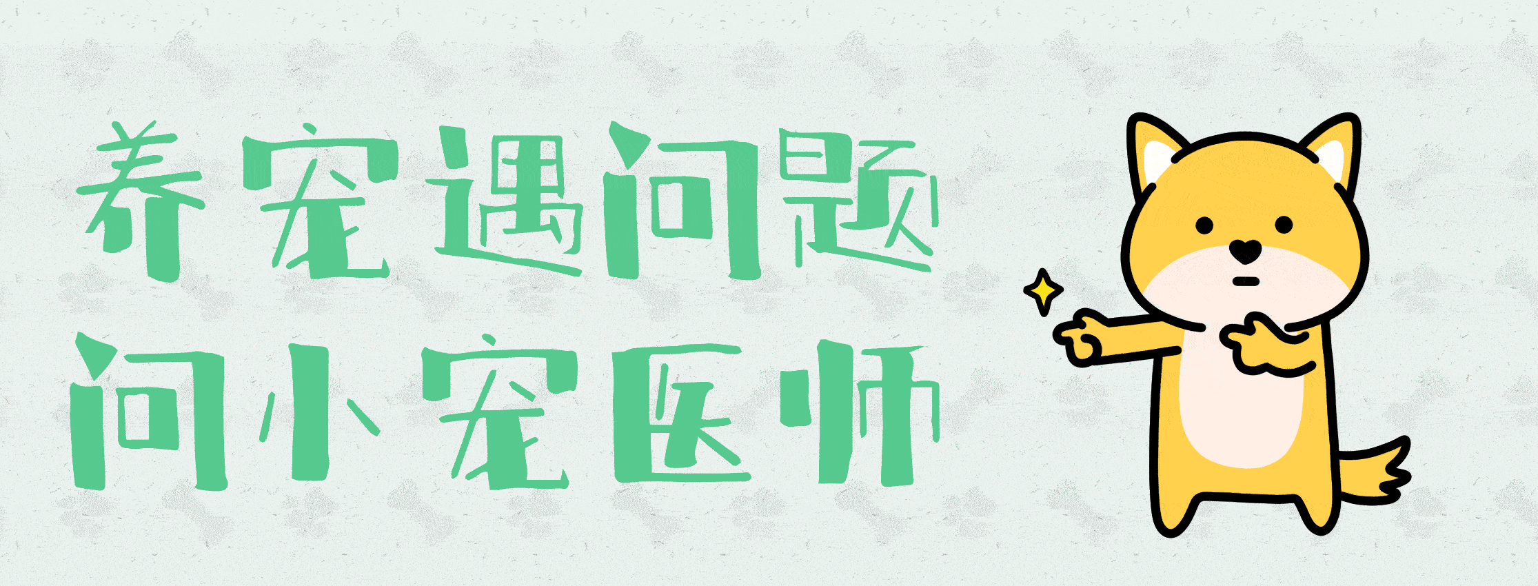 狗狗怎么吃乳酸菌素片