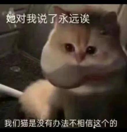 因为谁能想到这种绝美恶女颜背后,是个傻白甜啊