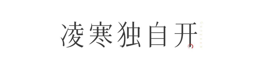 元日|这部顶级国漫，征服了日本人，却被中国人无视了7年