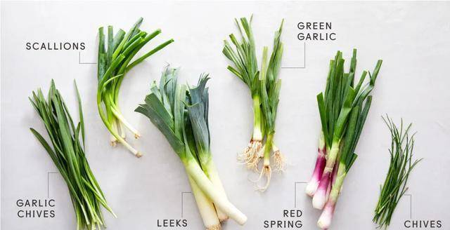 难倒谷爱凌的 韭菜盒子 英文怎么说 给答案了 芝麻 英语 Jimmy 太阳信息网