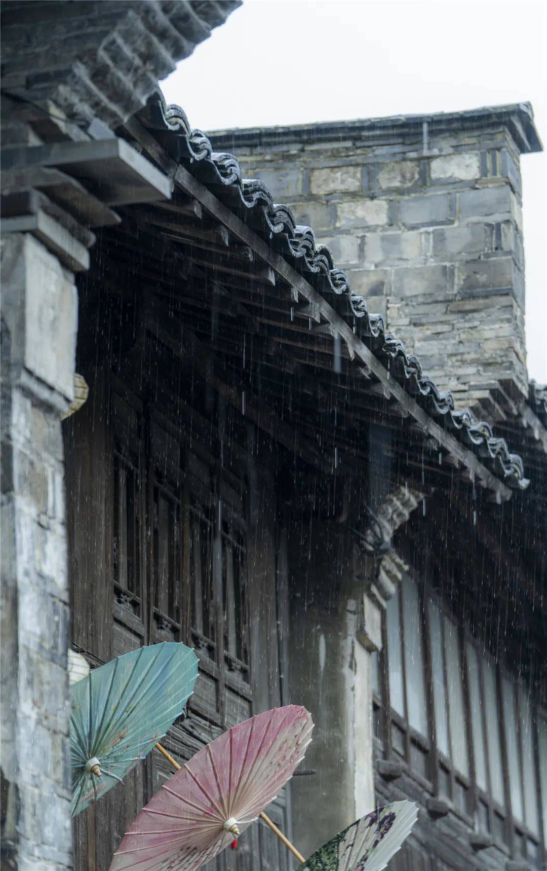 万物开始萌动,春天就要到了 | 乌镇·雨水_春雨_油纸伞_雨天