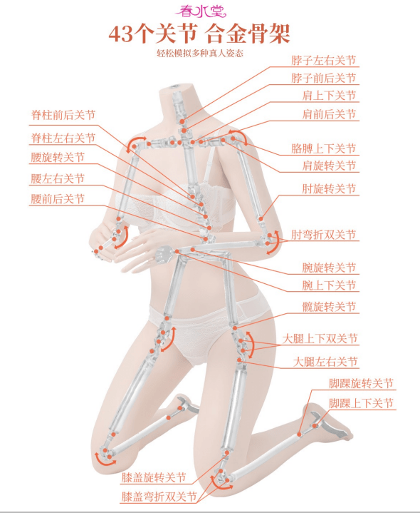 日本硅胶娃娃