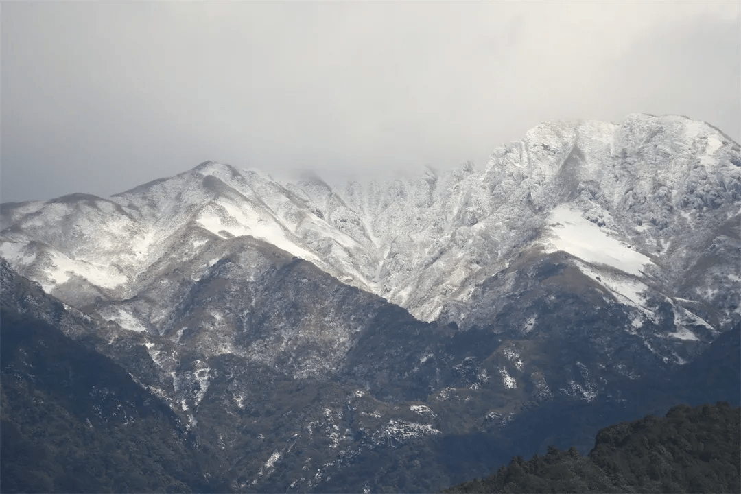 清风|初春腾冲：油菜花开金灿灿，紫云沫雪白皑皑