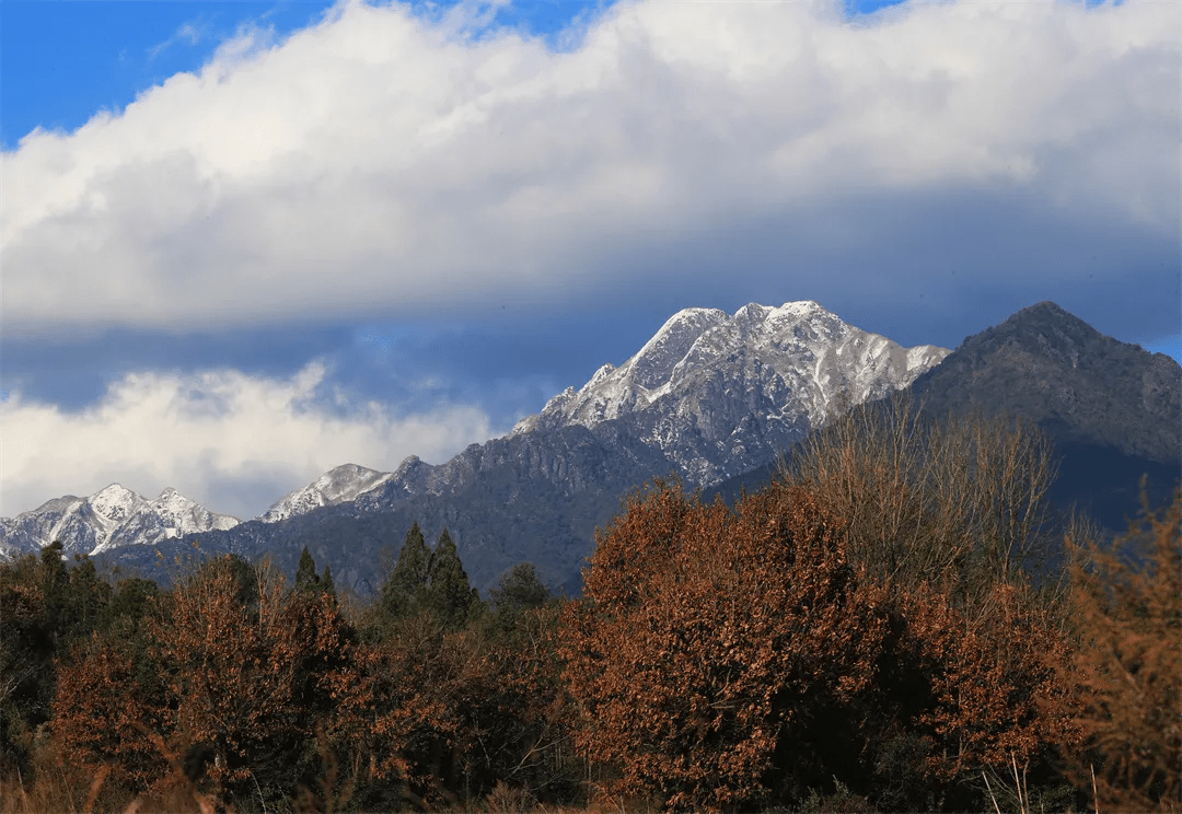清风|初春腾冲：油菜花开金灿灿，紫云沫雪白皑皑