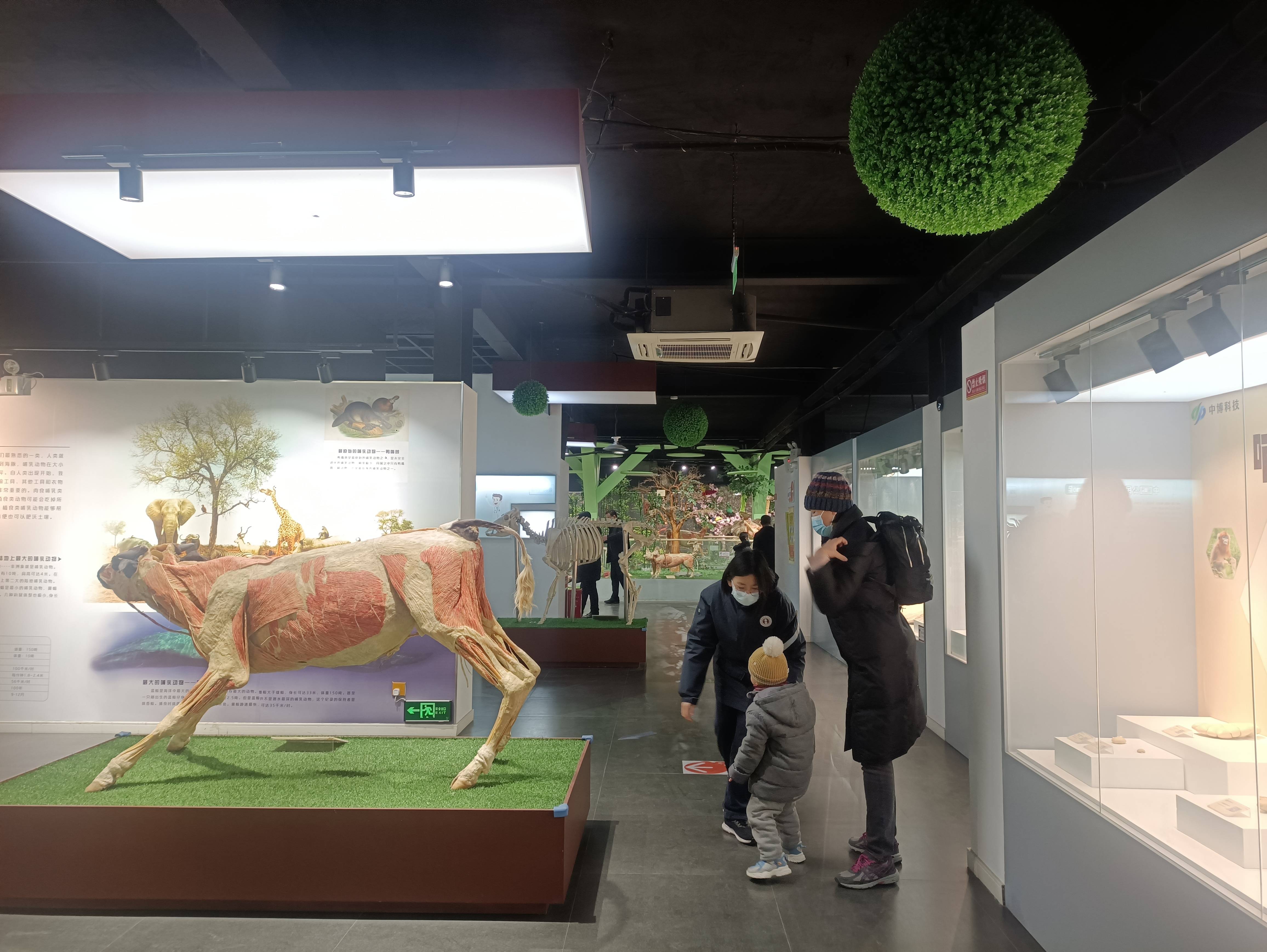 郑州人体科学馆邀你来玩!_生命_展馆_展区