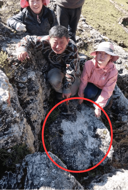 原创
邱桑温泉发现了20万年前的脚印,专家说:古代智人曾在这里生活