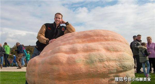 世界上最大的南瓜世界上最大的西红柿美国男子培育出重量将近4公斤的巨型