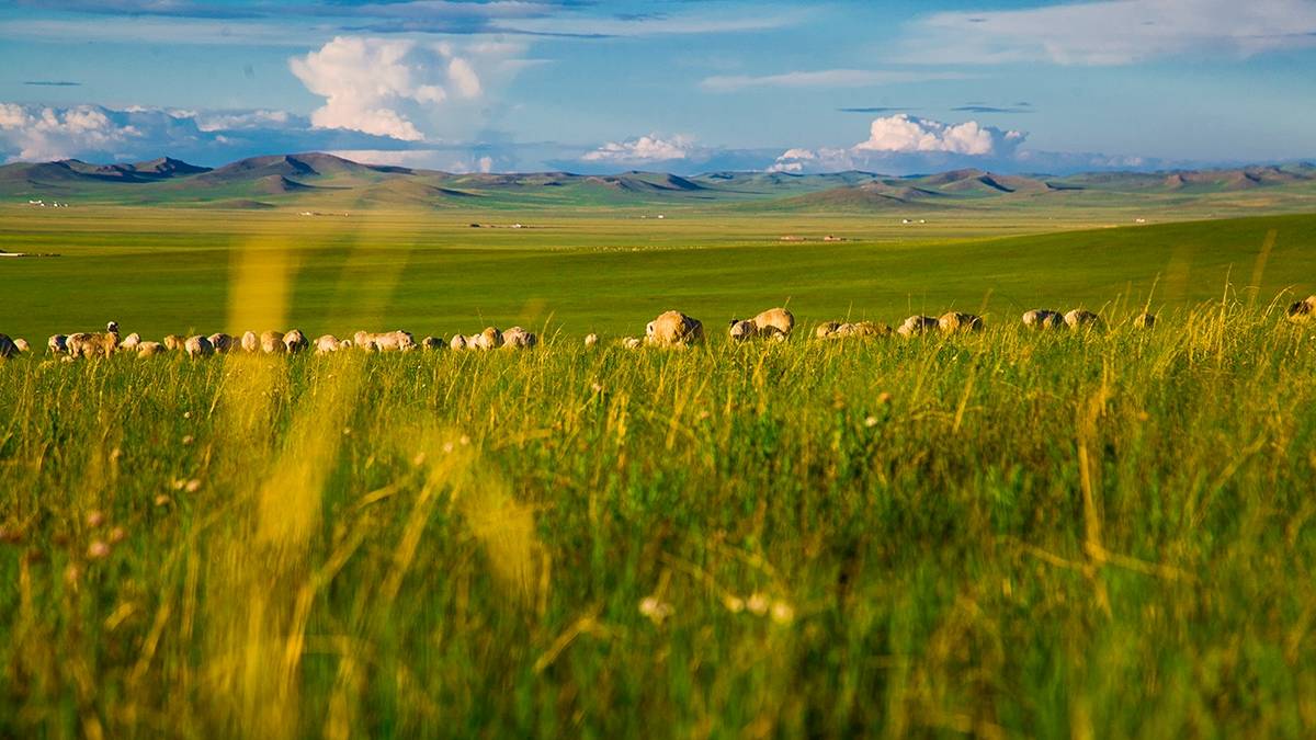 玉树|中国旅行20年，推荐10处最值得珍藏的自然风景，你去过哪些？