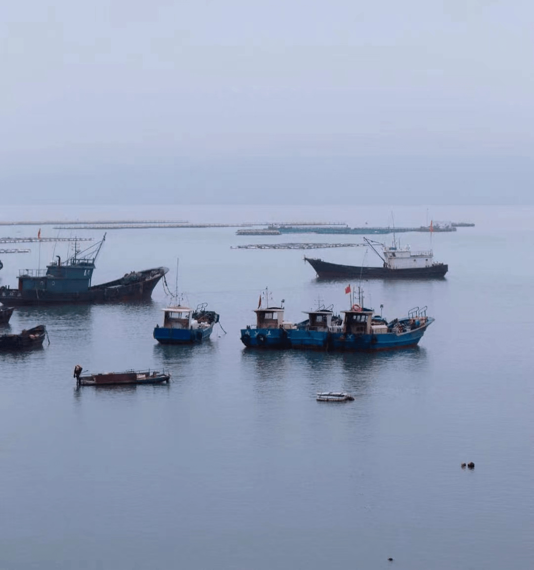 有生活垦荒热土红色大陈去椒江大陈享受岛上特色风情