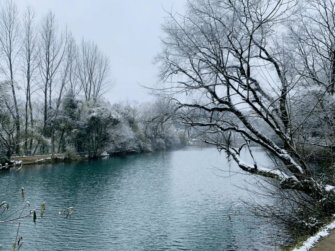 美得|花溪的绝美雪景，让您“醉”在如梦如幻的“人间仙境”里