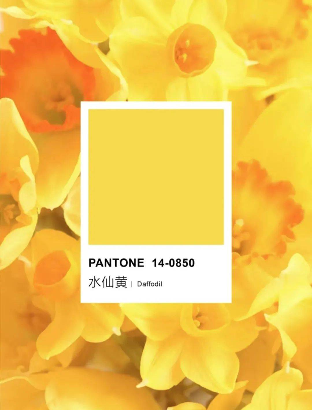 Pantone 2022春夏最IN十大流行色，美炸了！