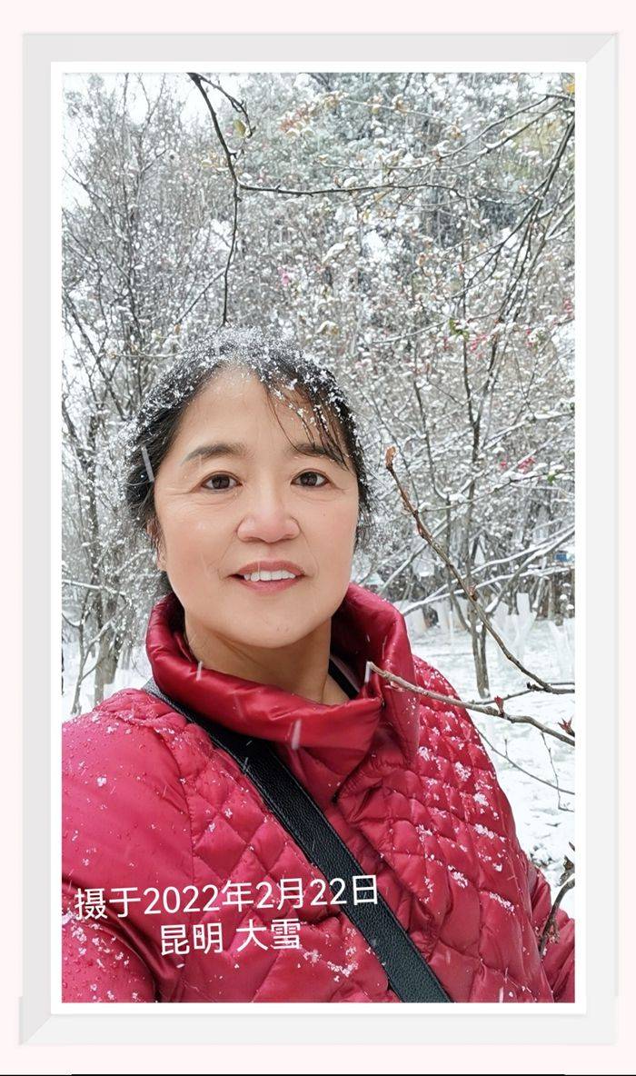 日子|昆明下雪了！春城的雪景真美丽！