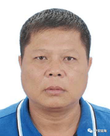 已有3人到案_定安县_定城镇_金额