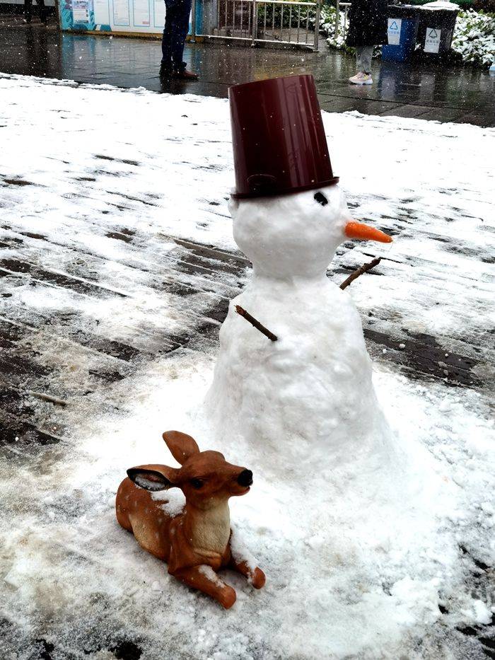 日子|昆明下雪了！春城的雪景真美丽！